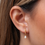 Load image into Gallery viewer, APOLINE