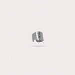 Load image into Gallery viewer, THE UNPREDICTABLE RING