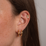 Load image into Gallery viewer, PAUL