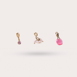Load image into Gallery viewer, COFFRET CHARMS ROSE