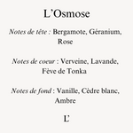 Load image into Gallery viewer, L’Osmose - Bougie Bijoux