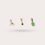 Load image into Gallery viewer, COFFRET CHARMS VERT