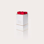 Load image into Gallery viewer, COFFRET ÉTERNEL COLLIER