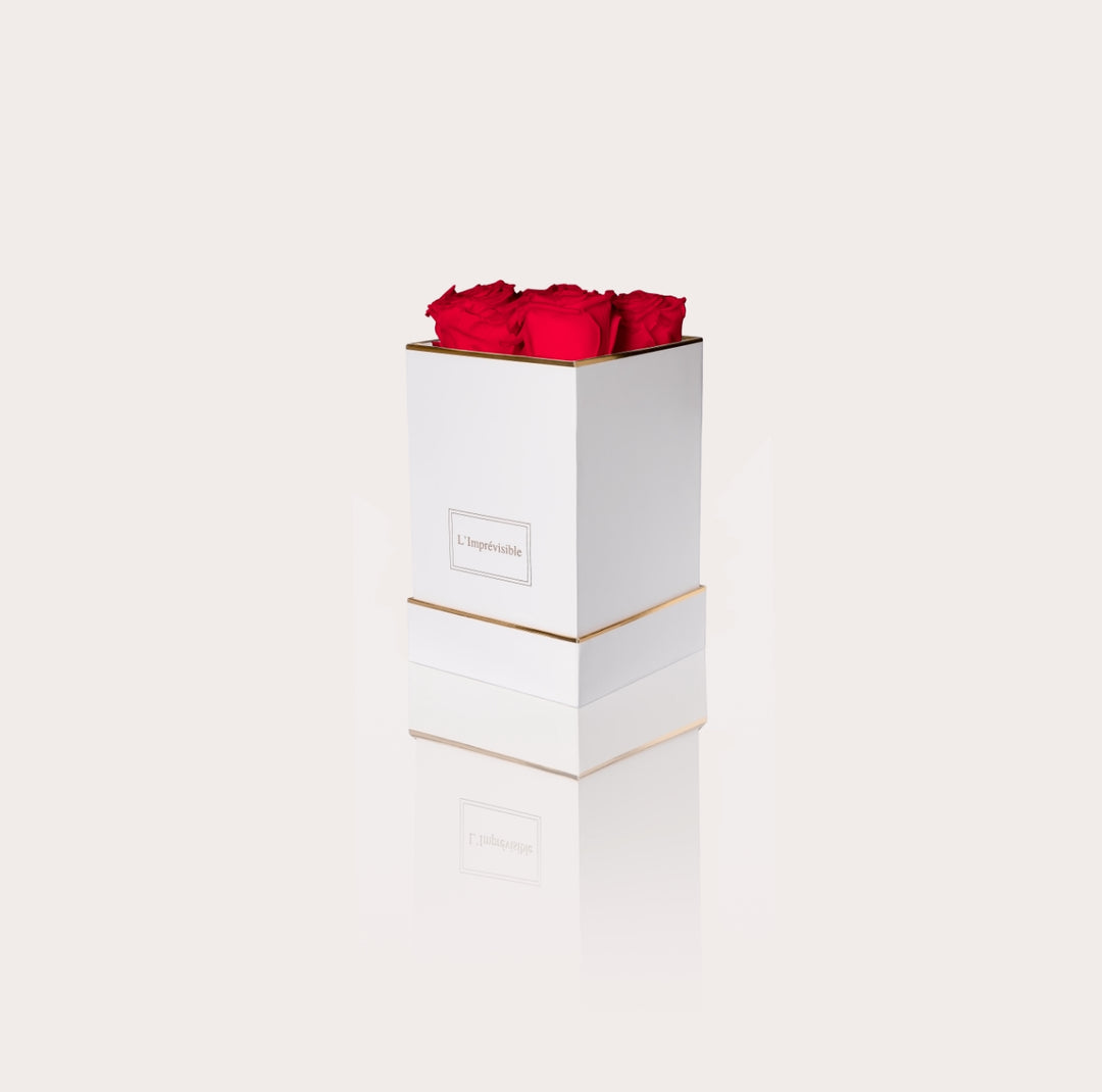 COFFRET ÉTERNEL COLLIER