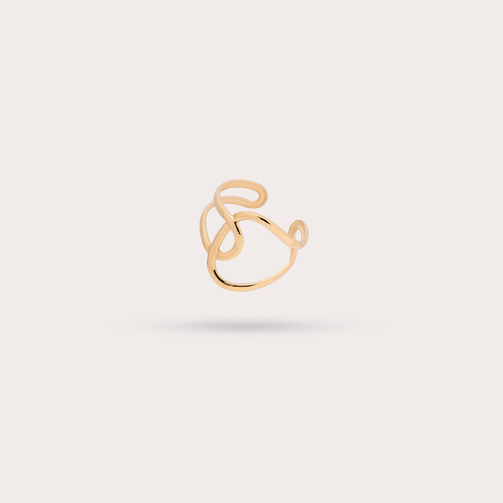 AMBRE - L'Imprévisible