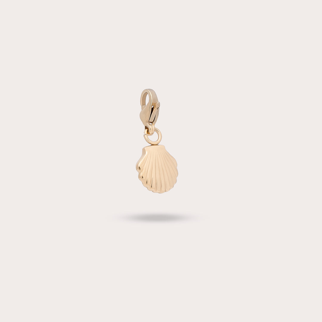 COQUILLAGE