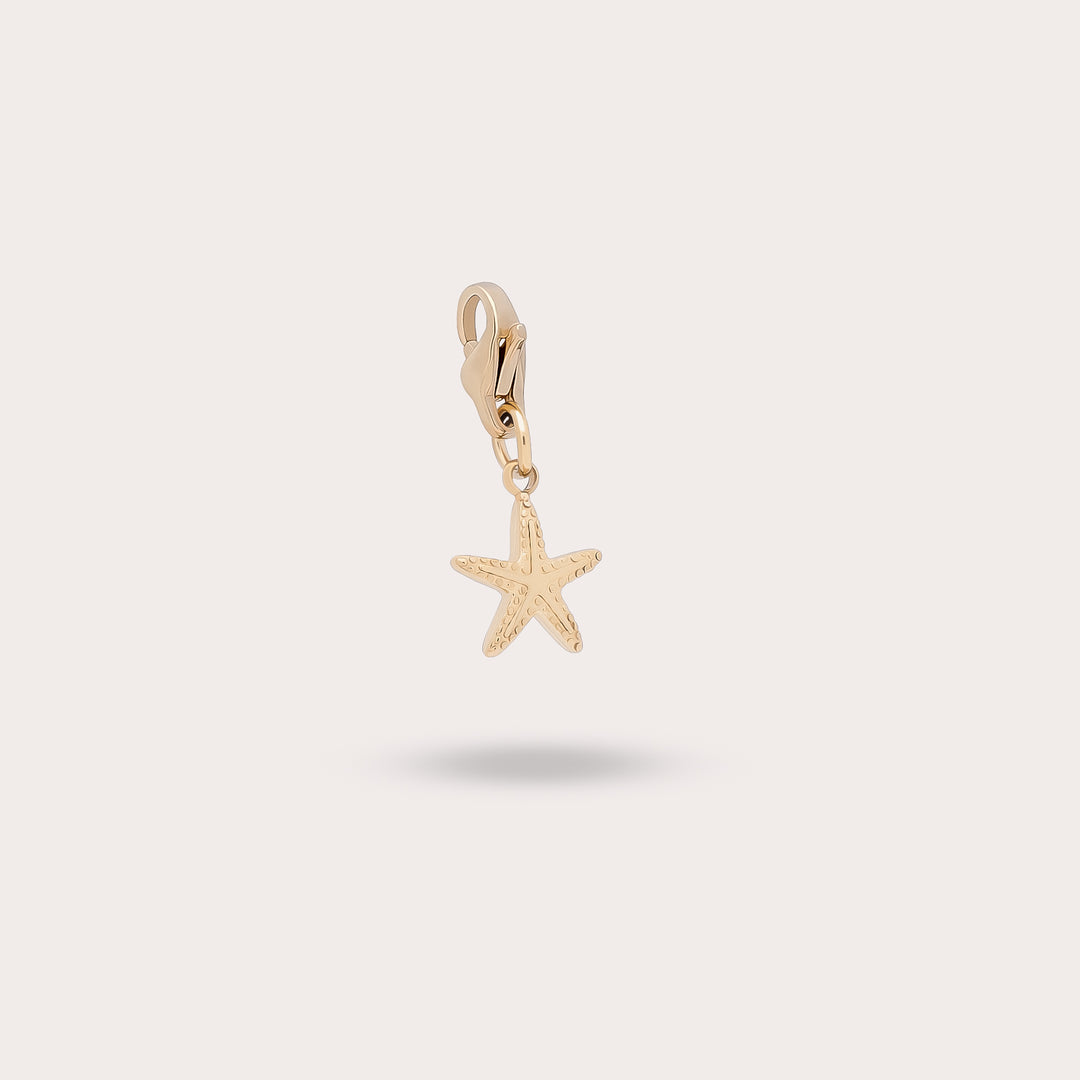 ÉTOILE DE MER 2