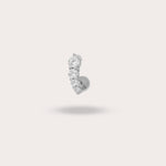 Load image into Gallery viewer, LEON