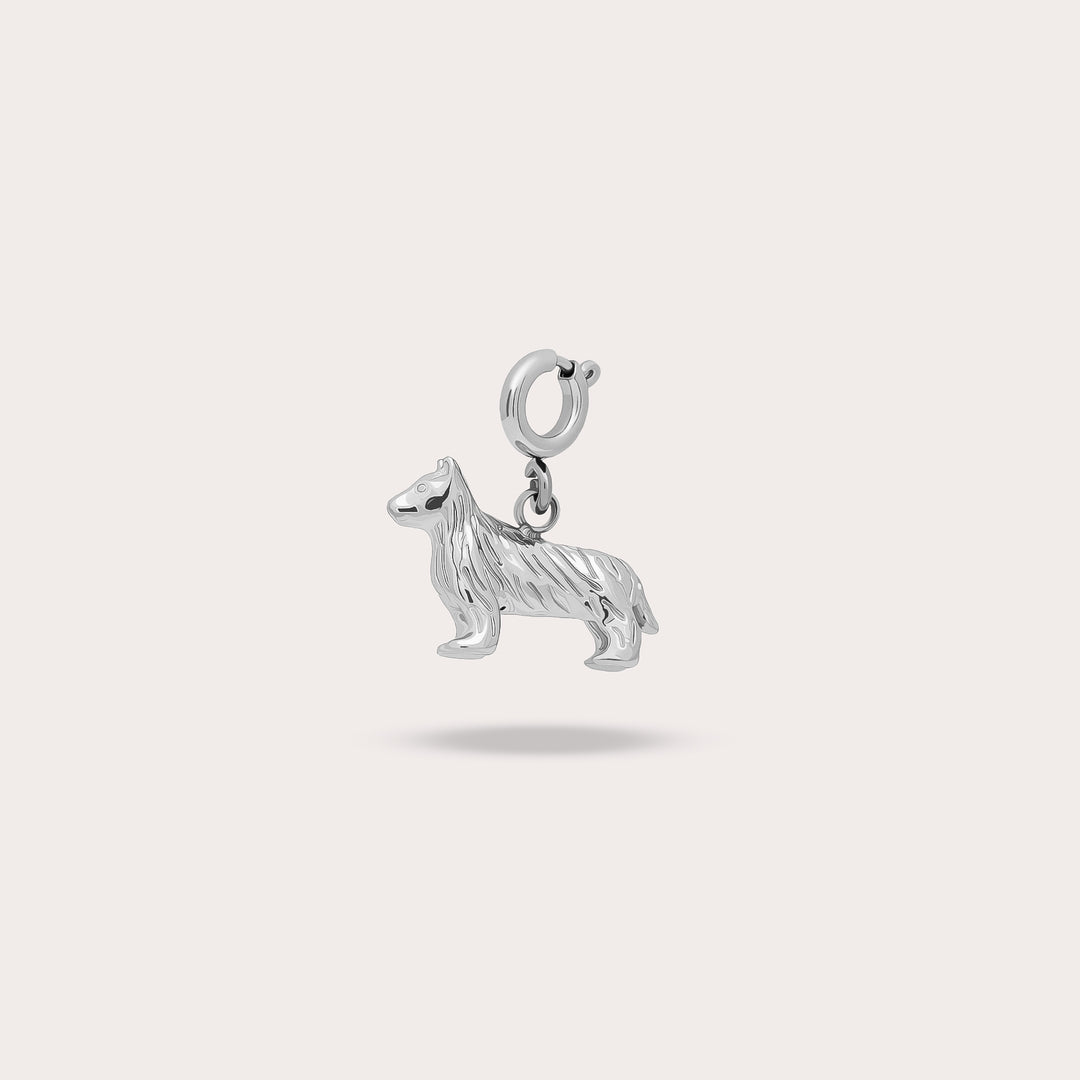 CHIEN