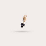 Load image into Gallery viewer, MINI GRAPPES