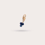 Load image into Gallery viewer, MINI GRAPPES