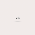 Load image into Gallery viewer, AURION - L'Imprévisible