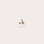 Load image into Gallery viewer, BERTILLE - L'Imprévisible