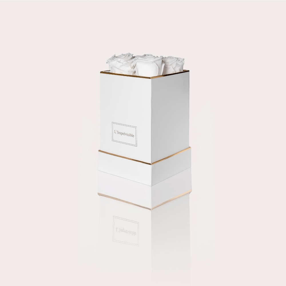 COFFRET ÉTERNEL COLLIER - L'Imprévisible