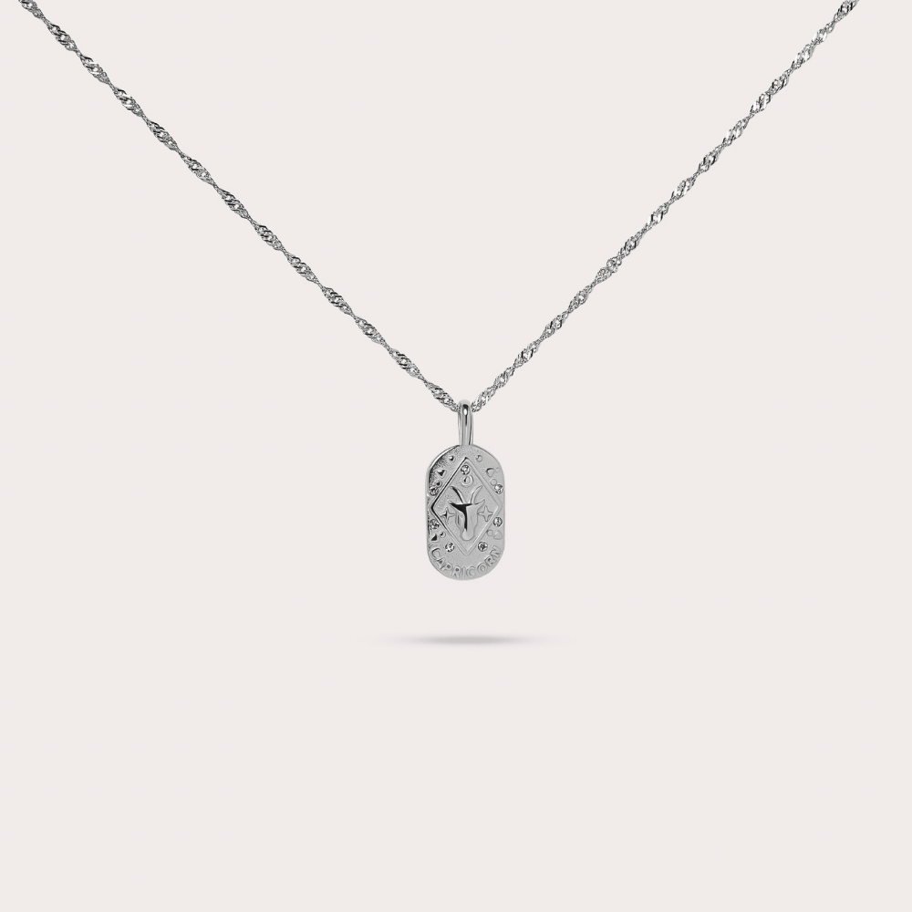Astrology necklace: Capricorn