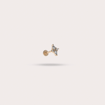 Load image into Gallery viewer, ROMANE - L'Imprévisible