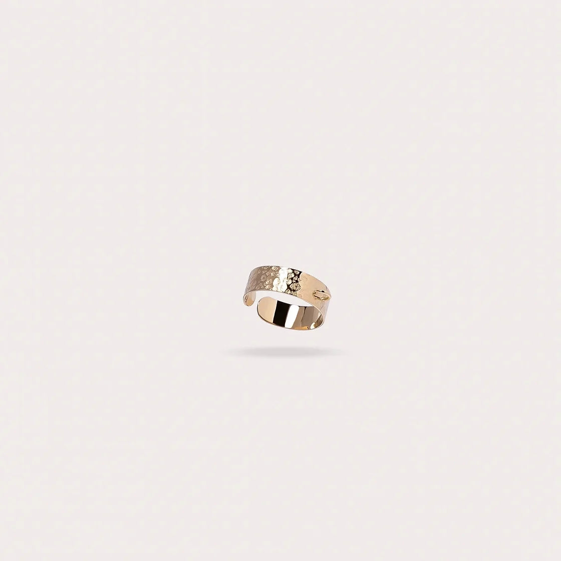 L’IMPRÉVISIBLE BAGUE MARTELÉE 1