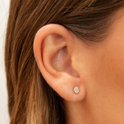 FLAVIE - L'Imprévisible