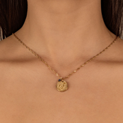 Septembre : Ipomoea tricolore - Lapis-lazuli