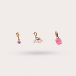 Load image into Gallery viewer, COFFRET CHARMS ROSE