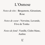 L’Osmose - Bougie Bijoux