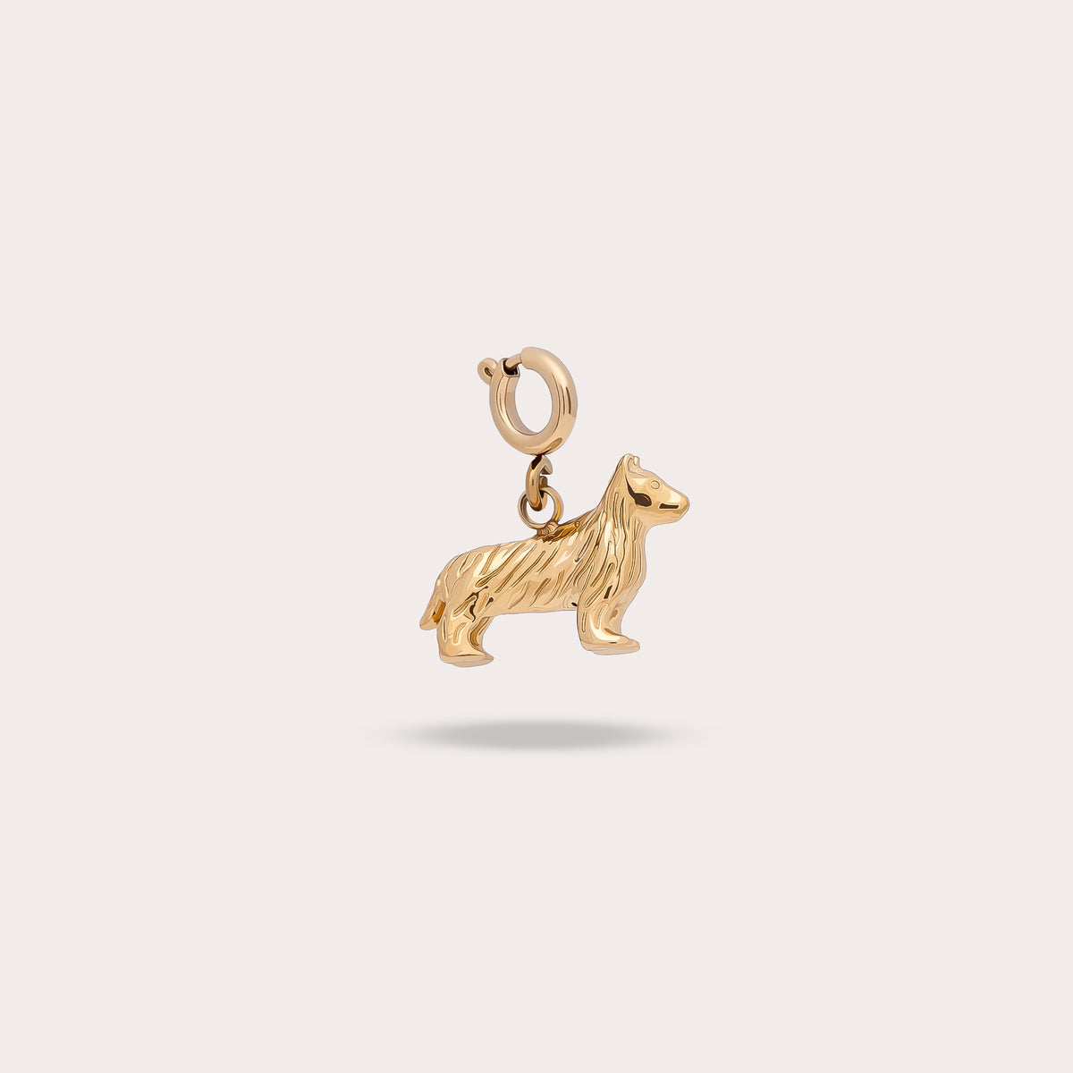 CHIEN