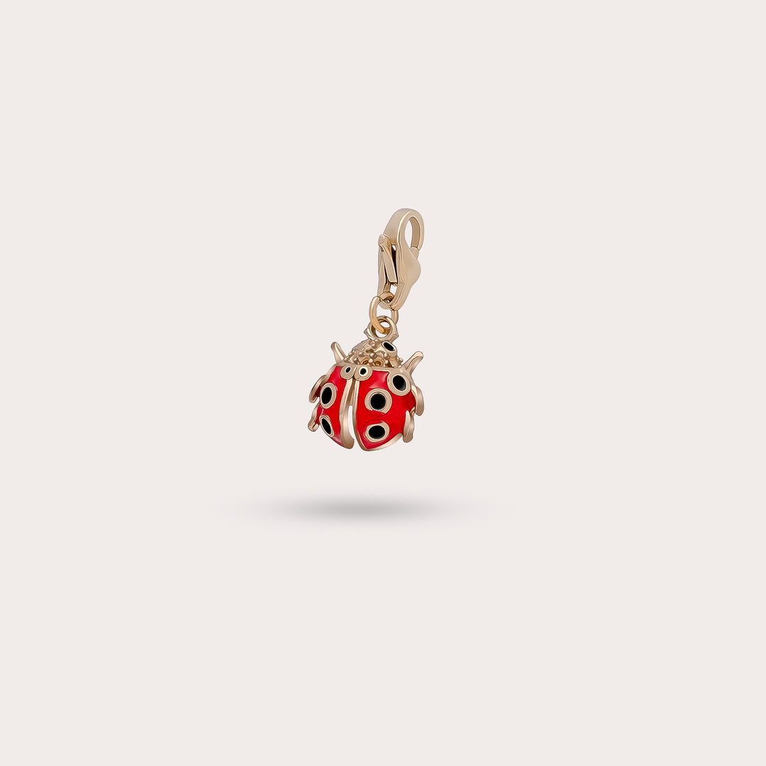 COCCINELLE