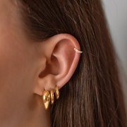 DANA - L'Imprévisible