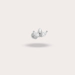 Load image into Gallery viewer, FELIX