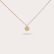 Novembre : Chrysanthème - Perle d'eau