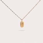Load image into Gallery viewer, Astrology necklace: Gemini