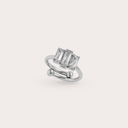 PERSÉVÉRANCE - L'Imprévisible